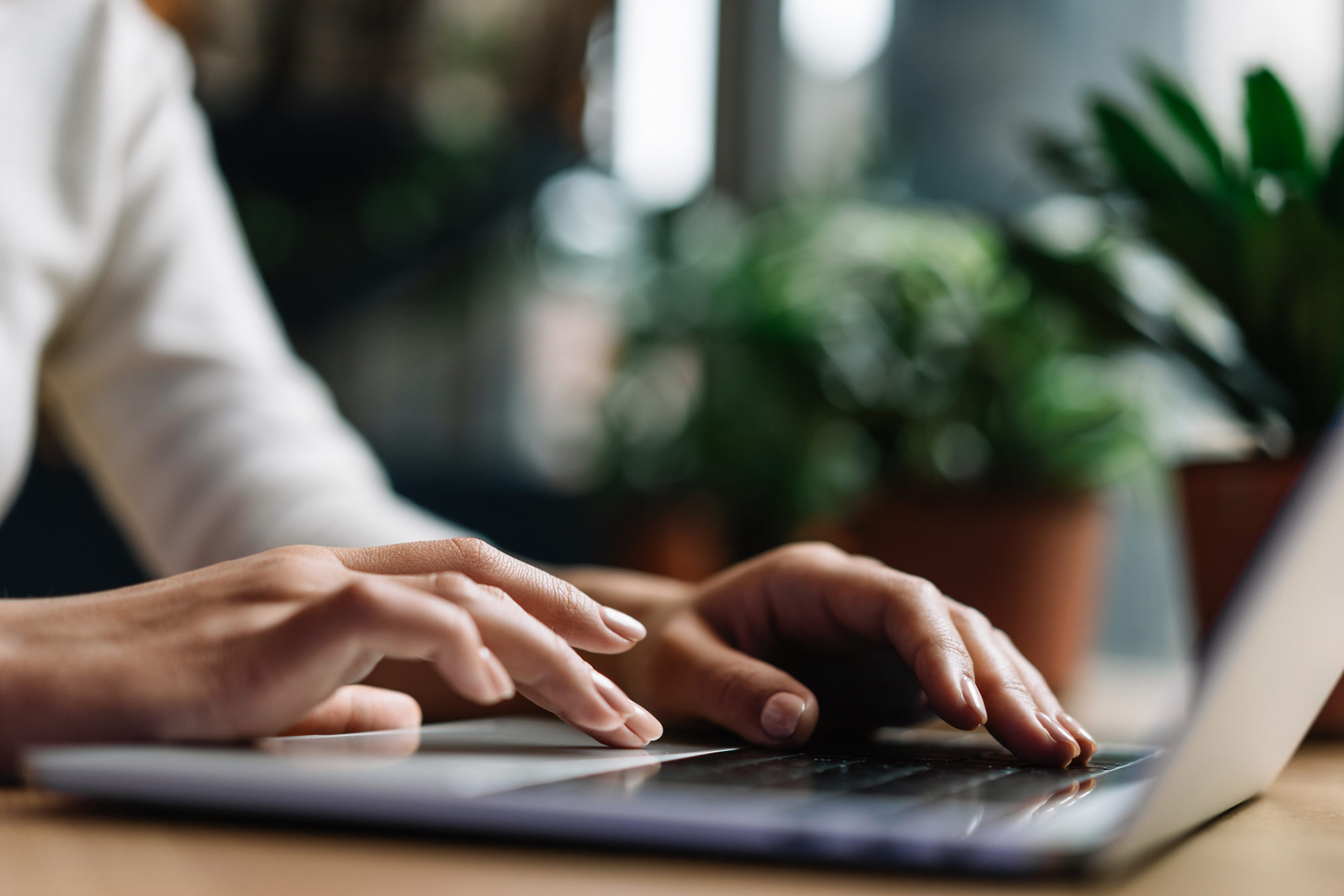 Hands typing application on computer.
